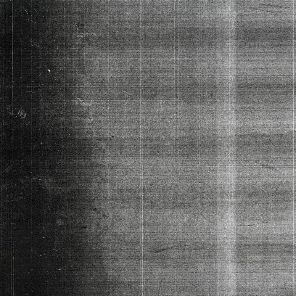 Meet your Posher, Allie